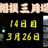 春場所14日目の８番と最高点の予想はこちら