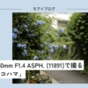 【534話・Leica】Summilux 50mm F1.4 ASPH. (11891) で撮る「曇天のヨコハマ」