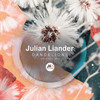 "Julian Liander" Organic house, deep progressive, remix