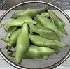 夏野菜の植え付け（がんばらない！）