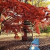 九品仏浄真寺で紅葉狩り【ポケモンGOAR写真・お出かけ日記】東京の癒し空間