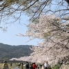 3月31日　年度末