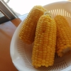 【父の庭でとれた野菜たち②】父の家庭菜園～縁側で『きみ（とうもろこし）』
