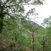 履歴稿　北海道似湾編 　古雑誌と次郎　7の3