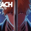 BLEACH 見るの初めてなんだが