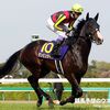 【神戸新聞杯】ダンビュライト抜群４Ｆ５０秒９