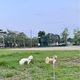 早くお家に帰ろうよぉ〜
