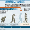 むかちん歴史日記501 人類史のはじまり～アウストラロピテクスからクロマニョン人まで