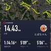 朝ラン14.43km〜4月27日〜