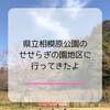 相模原公園で水遊びできる！せせらぎの園地区の魅力とは