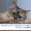 GCPのテレメトリーのMCPサーバーを作ってボトルネックを発見する