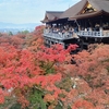 京都ぶらり　2023京都紅葉情報　清水寺