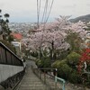 石切駅周辺の桜を鑑賞してきました