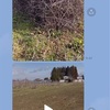母の定年を９０歳にする企画