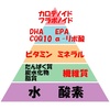 ★栄養ピラミッドを意識すると★　【矢場町で肩こり・脚のむくみ・姿勢矯正ならウェミアス！　20時以降施術OK】