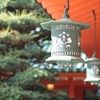 5月12日