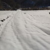 雪で埋もれた農道を除雪＆ヤンマーNT70K