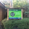 東山動植物園へ行ってきました。