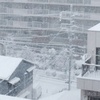東京都心45年ぶり積雪25cmの大雪！