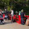 天王寺公園にカワセミ！こんな都会でもカワセミっているもんなんだ。