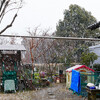 またもや降雪