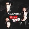 買ったぞ!WANDSのCD…。