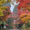 日吉大社紅葉まつりの演奏