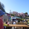 体調不良でした　　かみさんと桜見に行きました♬