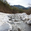 米山（水野林道）　２０２１年４月２４日