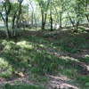 御池岳へのハイク（その２）カタクリ峠～八合目