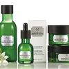 自然派THE BODY SHOPのスキンケア