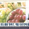 韓国、パクリの言い訳、、、