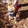 広い公園デビューの後は、だよ。