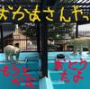 ララ出産　　両方かもしれないよ
