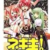 「魔法先生ネギま!」２２巻