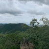 登ってみたシリーズ　金華山編