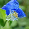 2022.9.18（日）　午前　27.8℃　雨のち曇りのち雷雨のち曇りのち・・・