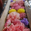 真夏の花手水「石浦神社」