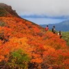 秋田駒ヶ岳
