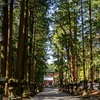 ちょっと山中湖周辺へ。