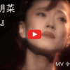 働く事と流行歌　ー中森明菜の『駅』を聴くー