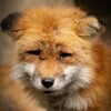 朝から津波警報、、、
