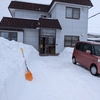 春の雪😅