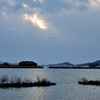 西の湖冬の風景その１