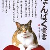 にゃんぱく宣言 (*￣∇￣)ノ