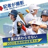 沖縄県高校野球⚾️頂点はどこの学校に⁉️