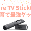 Fire TV Stickは子育て最強グッズ｜0歳児ママのブログ