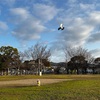 広い公園で