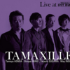 本田珠也: TAMAXILLE