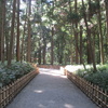真夏の茨城で